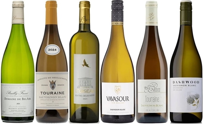 Sauvignon Blanc - poznejte vliv polohy a stylu_OceněnáVína_CZ